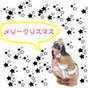 
blog,


Funaki Musubu,

