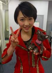 
blog,


Kudo Haruka,

